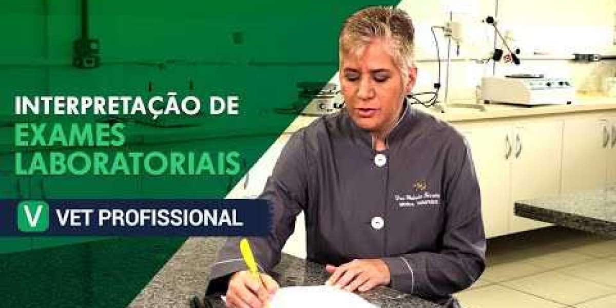 Ecocardiografía en pequeños animales Curso online Quadam Veterinaria