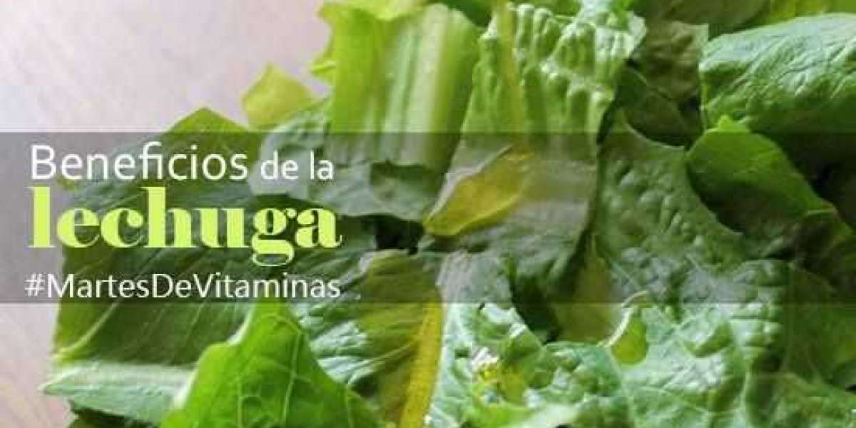 Romero Descripción, propiedades y usos Portal lider dedicado a las plantas medicinales